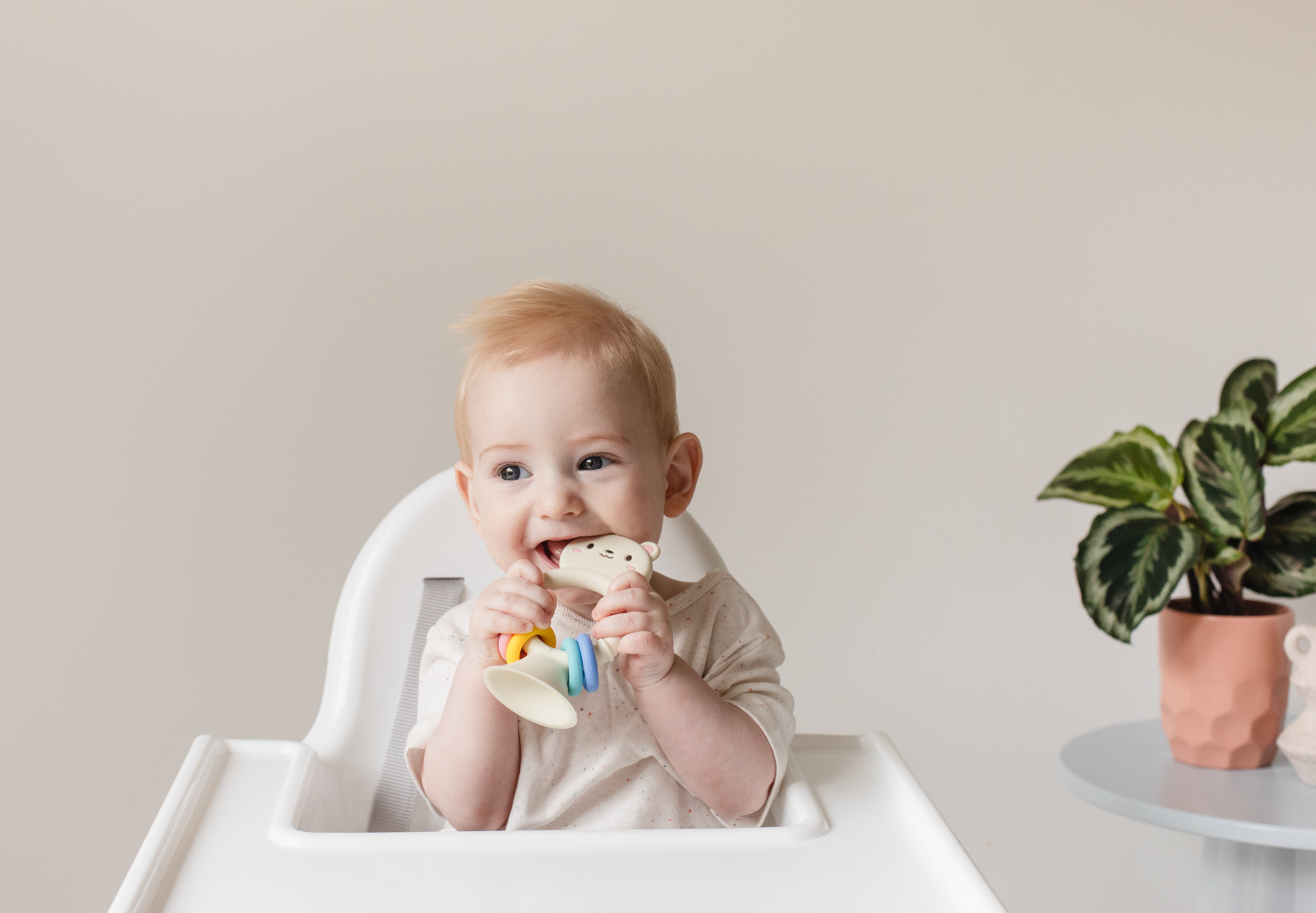 Tiger Tribe - High Chair Buddy - Silicone Bear