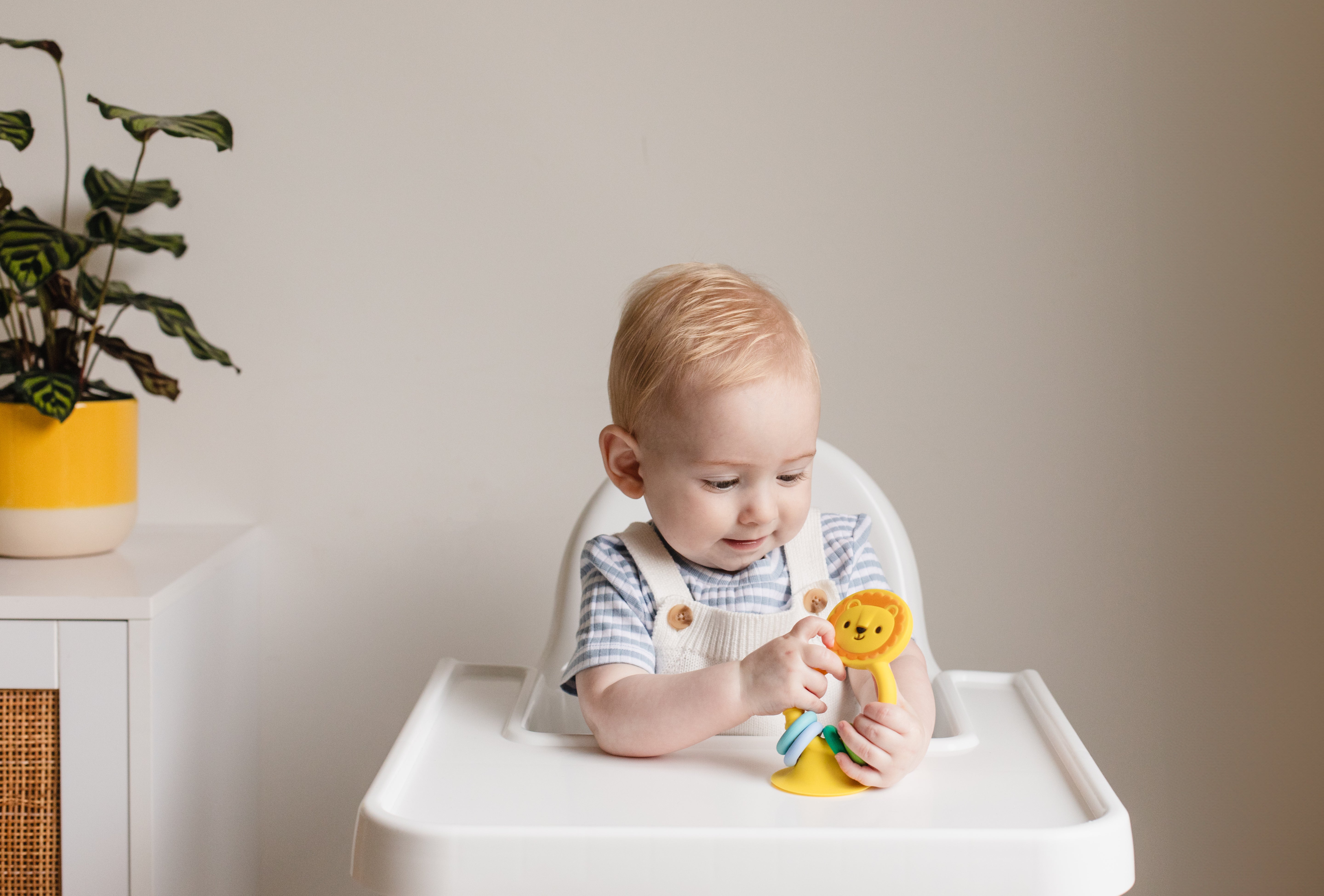 Tiger Tribe - High Chair Buddy - Silicone Lion