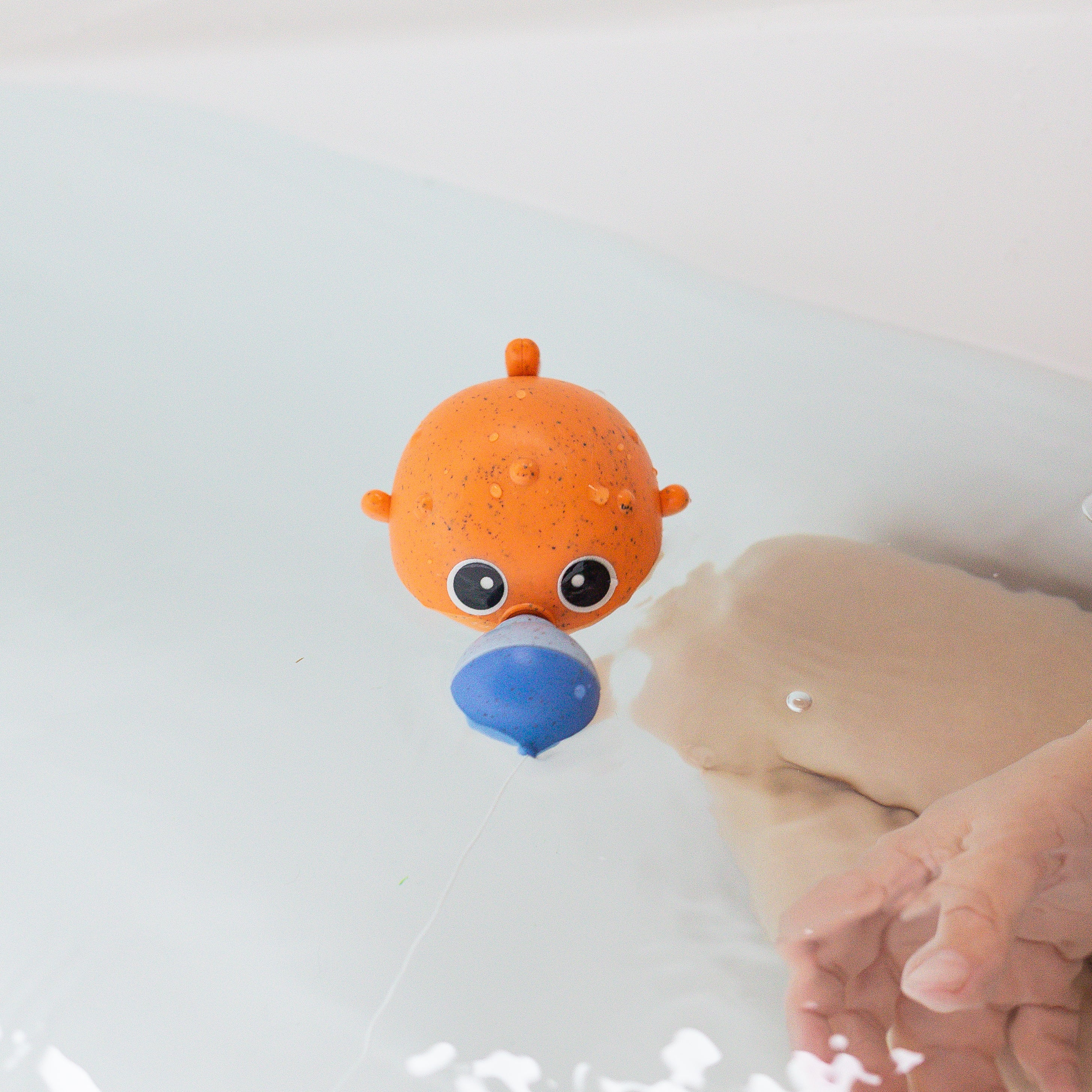 Tiger Tribe - Catch & Splash - Bath Fishing