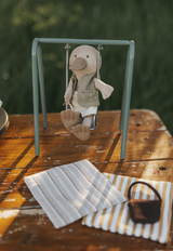 Rugaroo - The Bushwalker Platypus