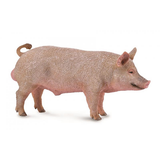Collecta Boar