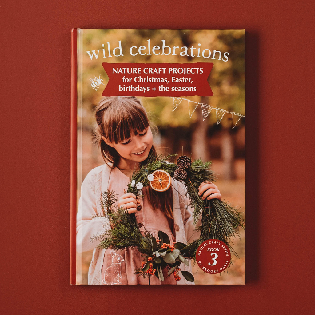 WILD CELEBRATIONS - NATURE CRAFT PROJECTS FOR CHRISTMAS, EASTER, BIRTHDAYS & THE SEASONS BOOK 3