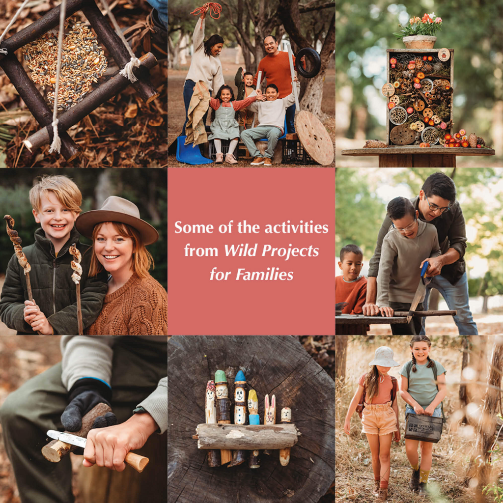 WILD PROJECTS FOR FAMILIES - FUN ADVENTURES &DIY ACTIVITIES FOR OUTDOOR FAMILY TIME BOOK 4