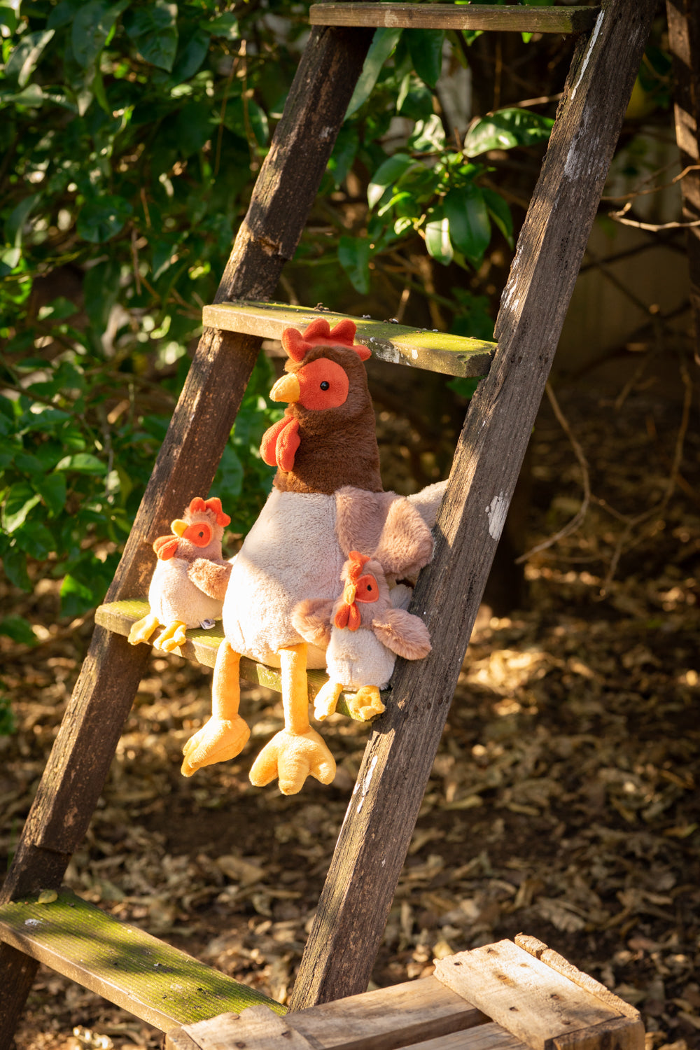 Rattle - Bubba Rooster