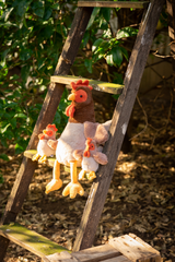 Rattle - Bubba Rooster