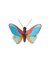 Studio Roof - Claudina Butterfly