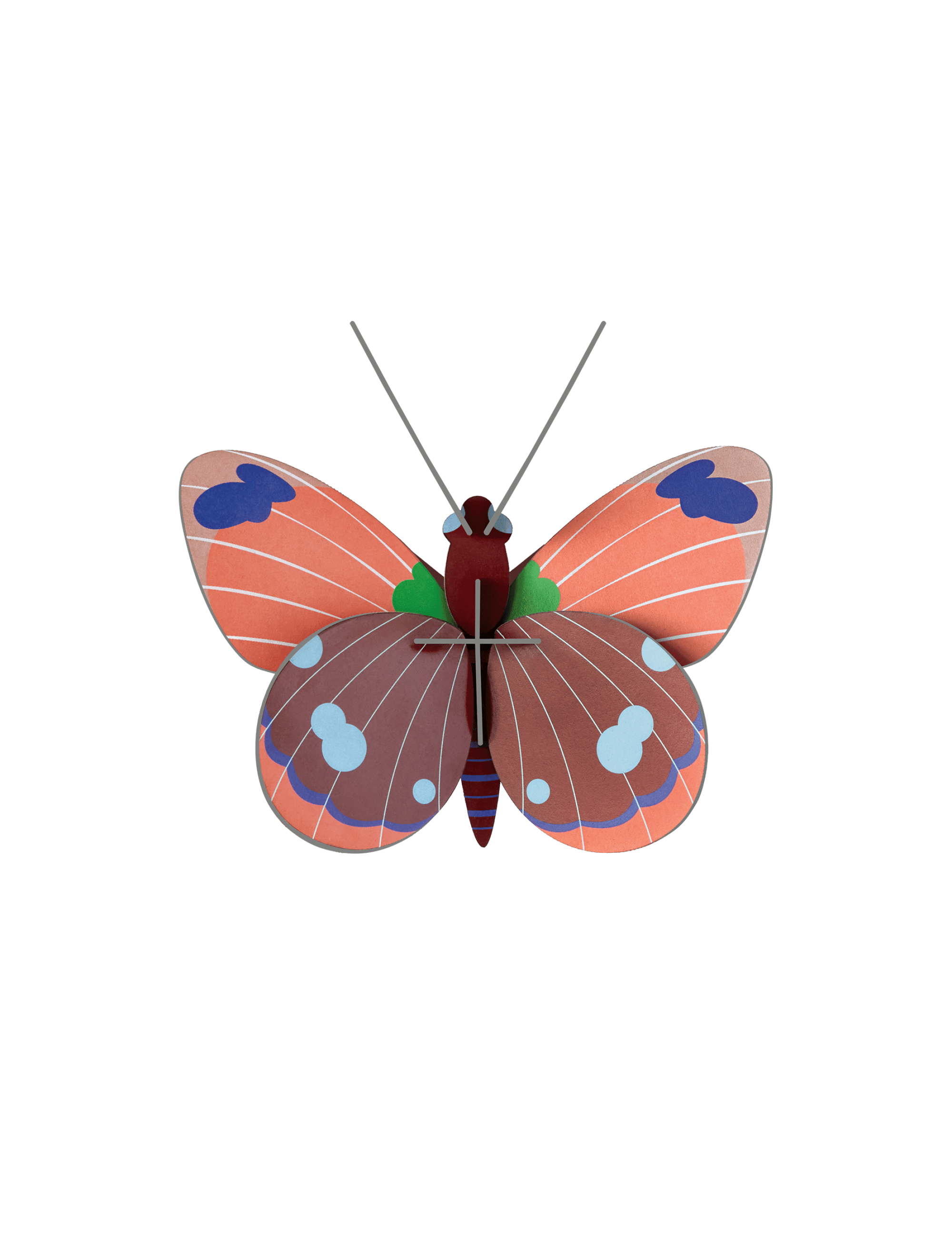 Studio Roof - Delias Butterfly