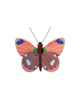 Studio Roof - Delias Butterfly