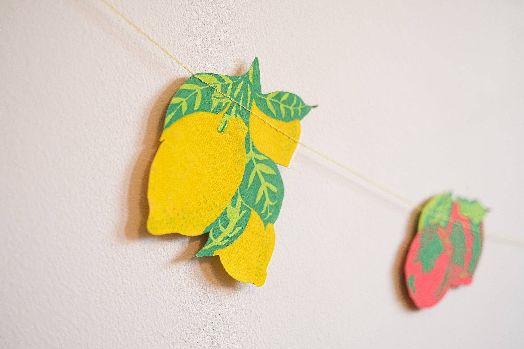 East End Press - Fruit Sewn Garland