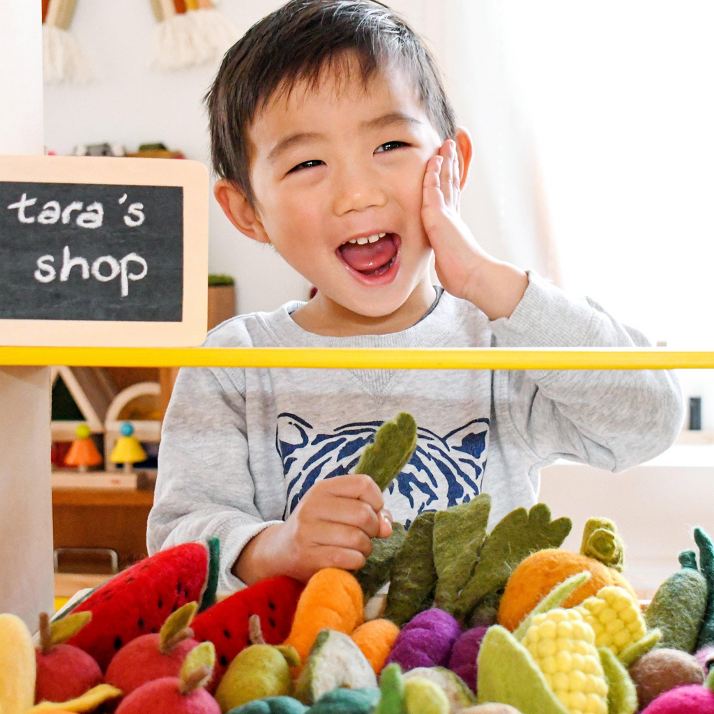 Tara Treasures - Felt Vegetables & Fruit - Set A (14 pc)