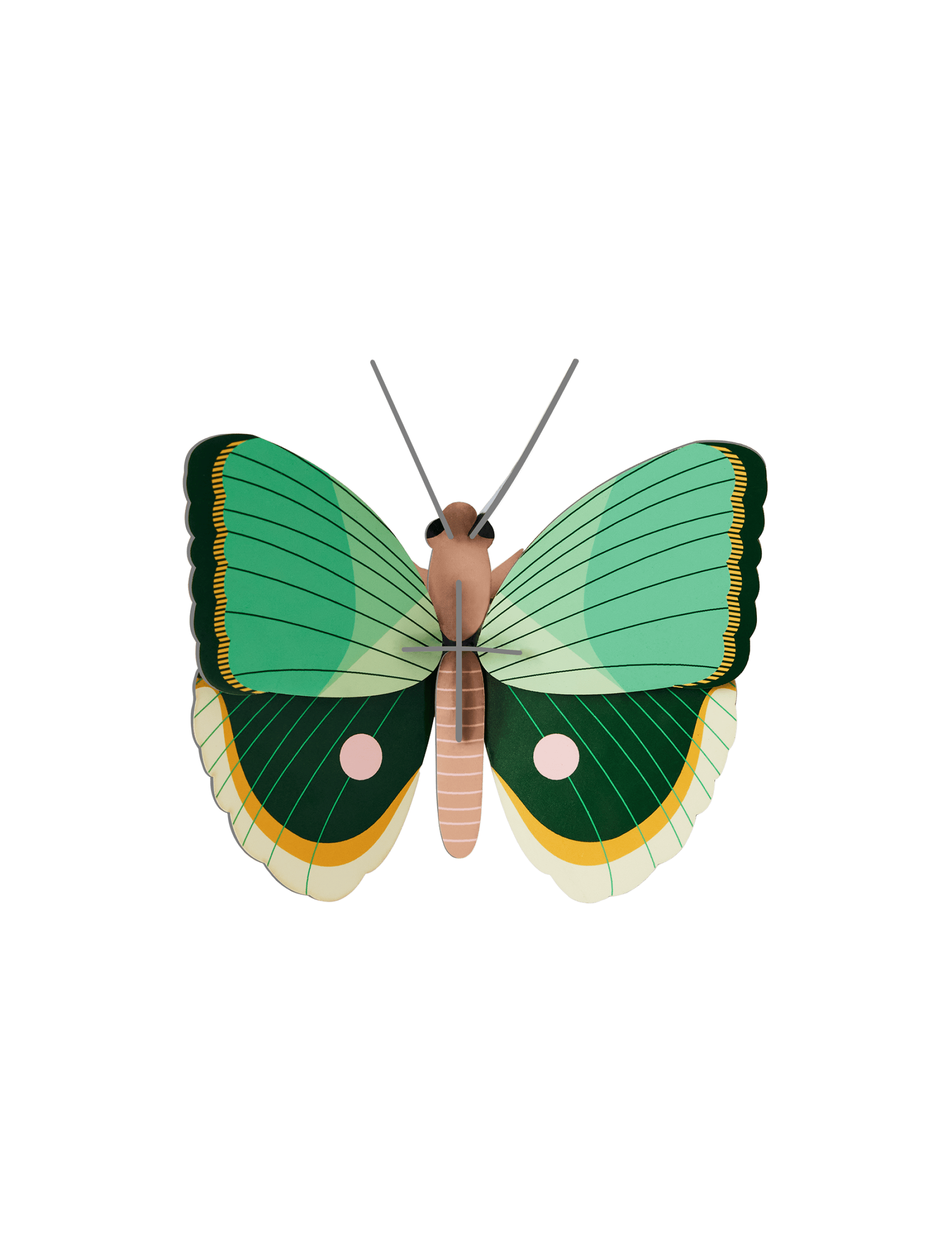 Studio Roof - Fern Striped Butterfly