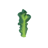 Oli & Carol - Kendall the Kale