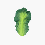 Oli & Carol - Kendall the Kale
