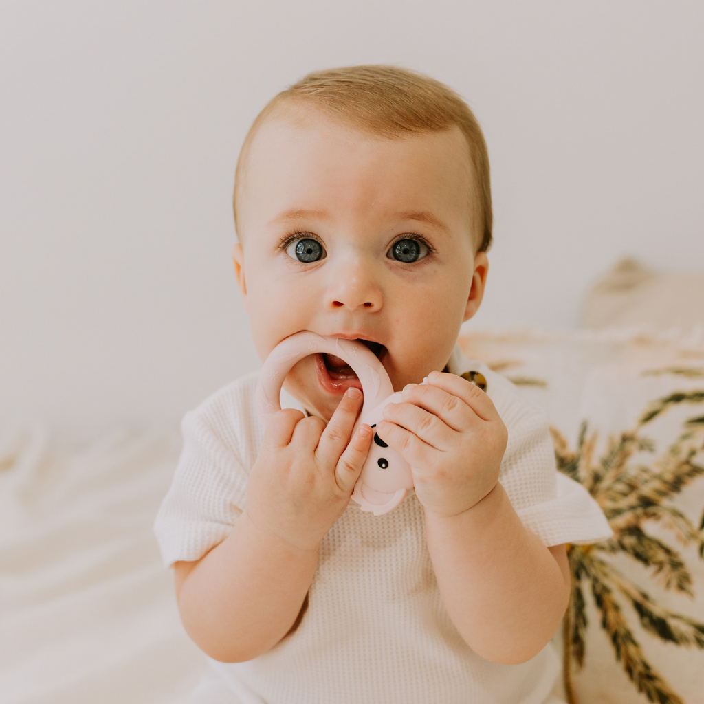Koala Teether - Eucalyptus