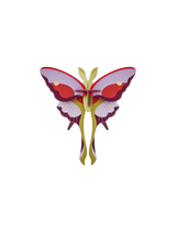 Studio Roof - Lilac Comet Butterfly