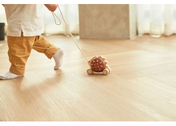 Plan Toys - Pull Along Hedgehog