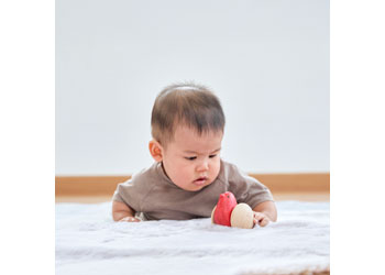 Plan Toys - Bird Roller