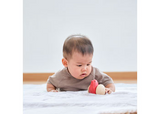 Plan Toys - Bird Roller