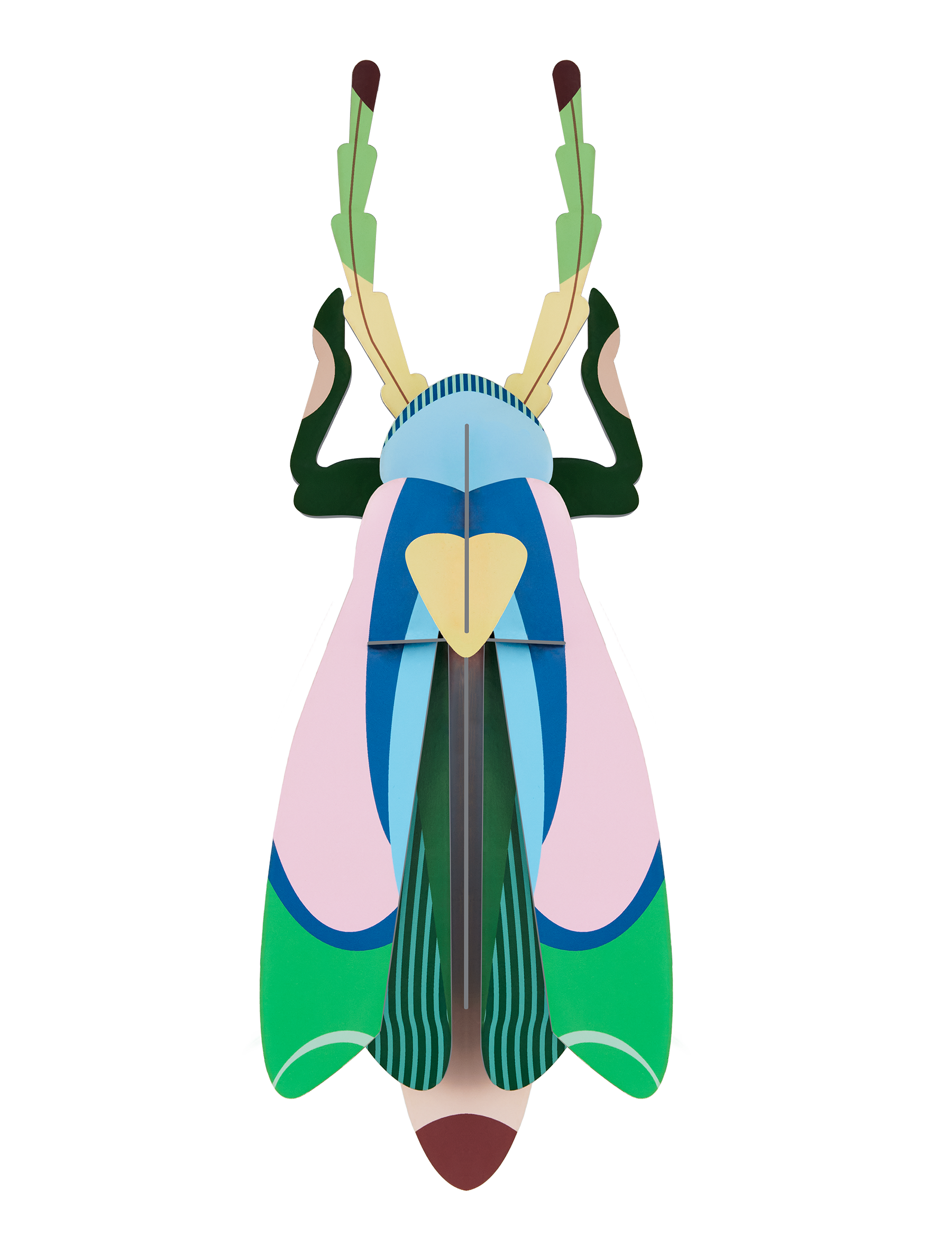 Studio Roof - Wall Art - Sakura Beetle