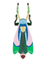Studio Roof - Wall Art - Sakura Beetle
