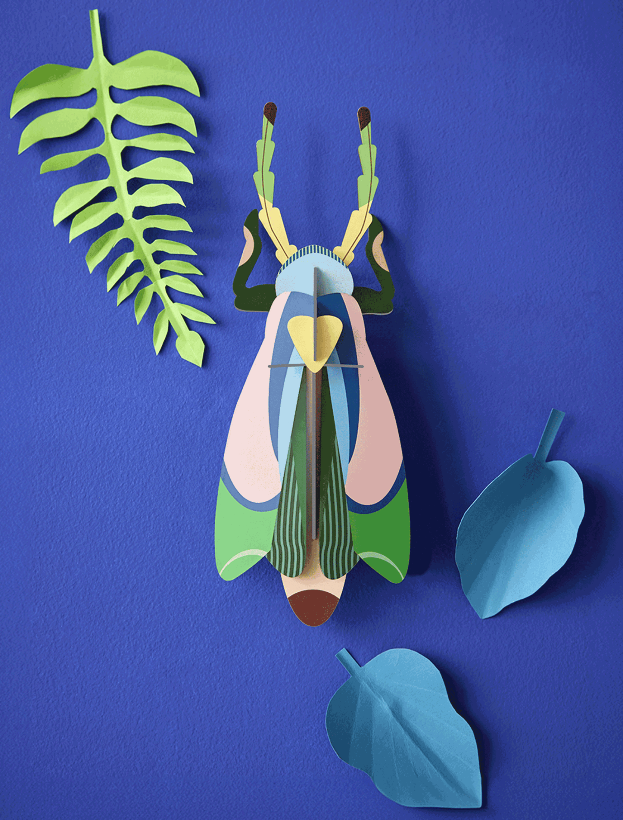 Studio Roof - Wall Art - Sakura Beetle