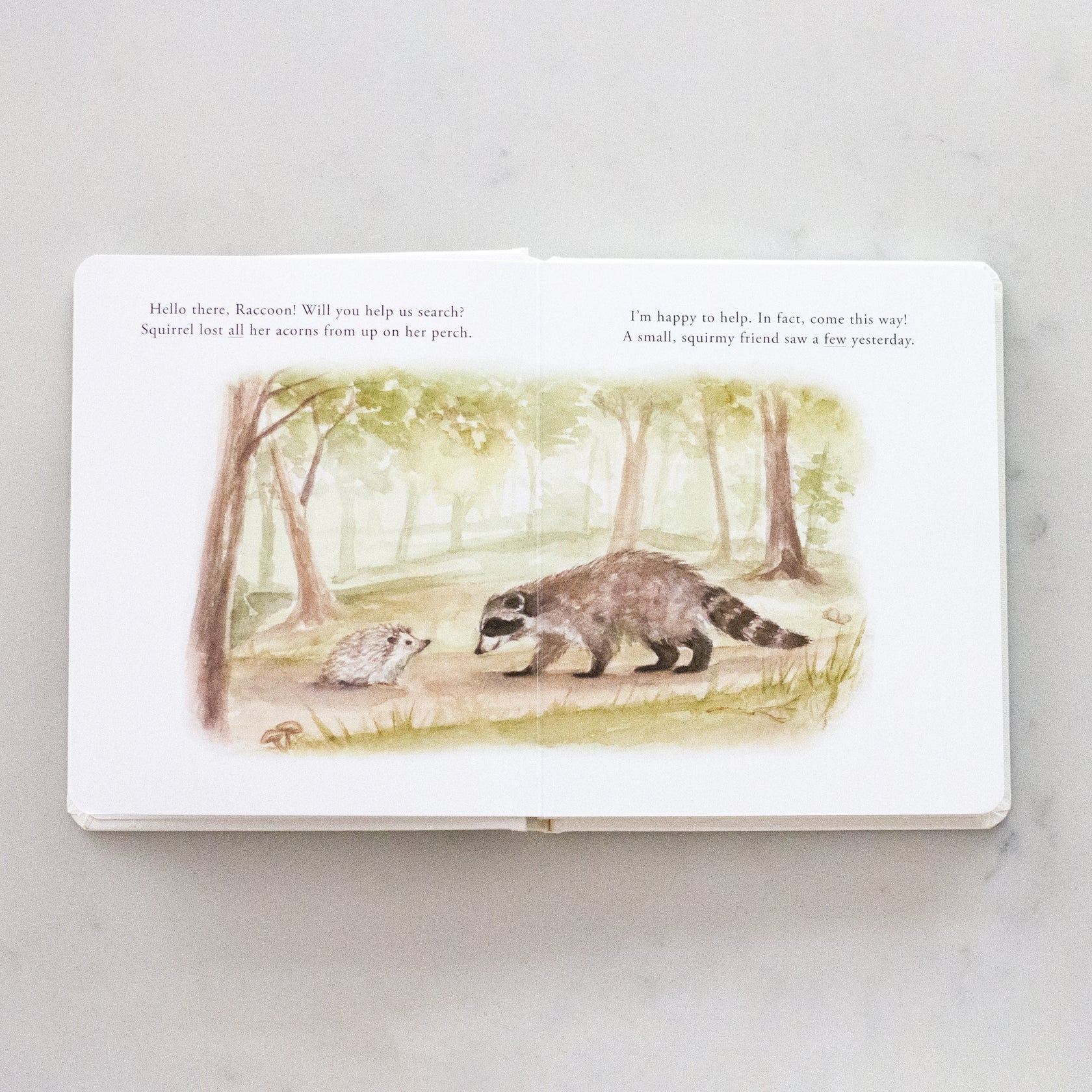 Our Little Adventures Board Book Set - Tabitha Paige