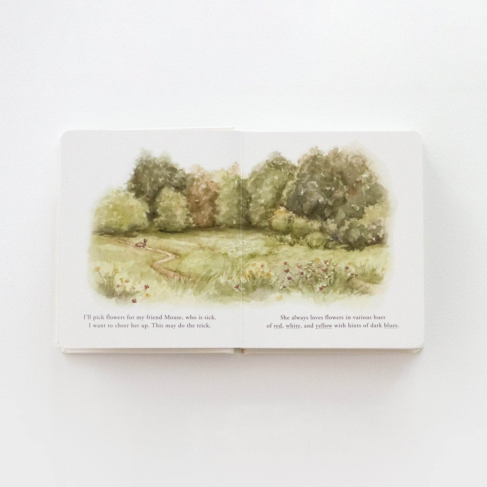 Our Little Adventures Board Book Set - Tabitha Paige