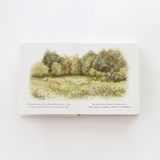 Our Little Adventures Board Book Set - Tabitha Paige