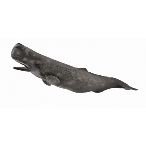 Collecta Sperm Whale