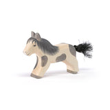 Ostheimer - Shetland Pony Running