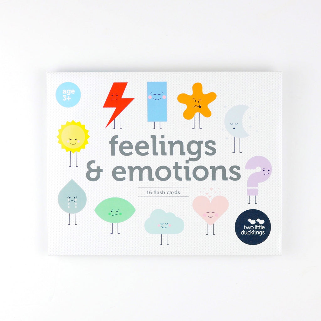 FEELINGS & EMOTIONS FLASH CARDS