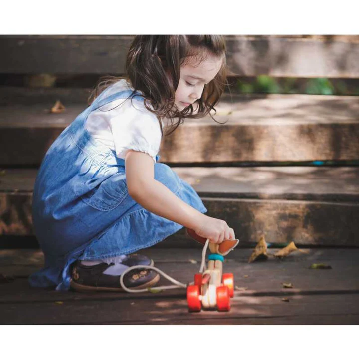 Plantoys - Happy Puppy