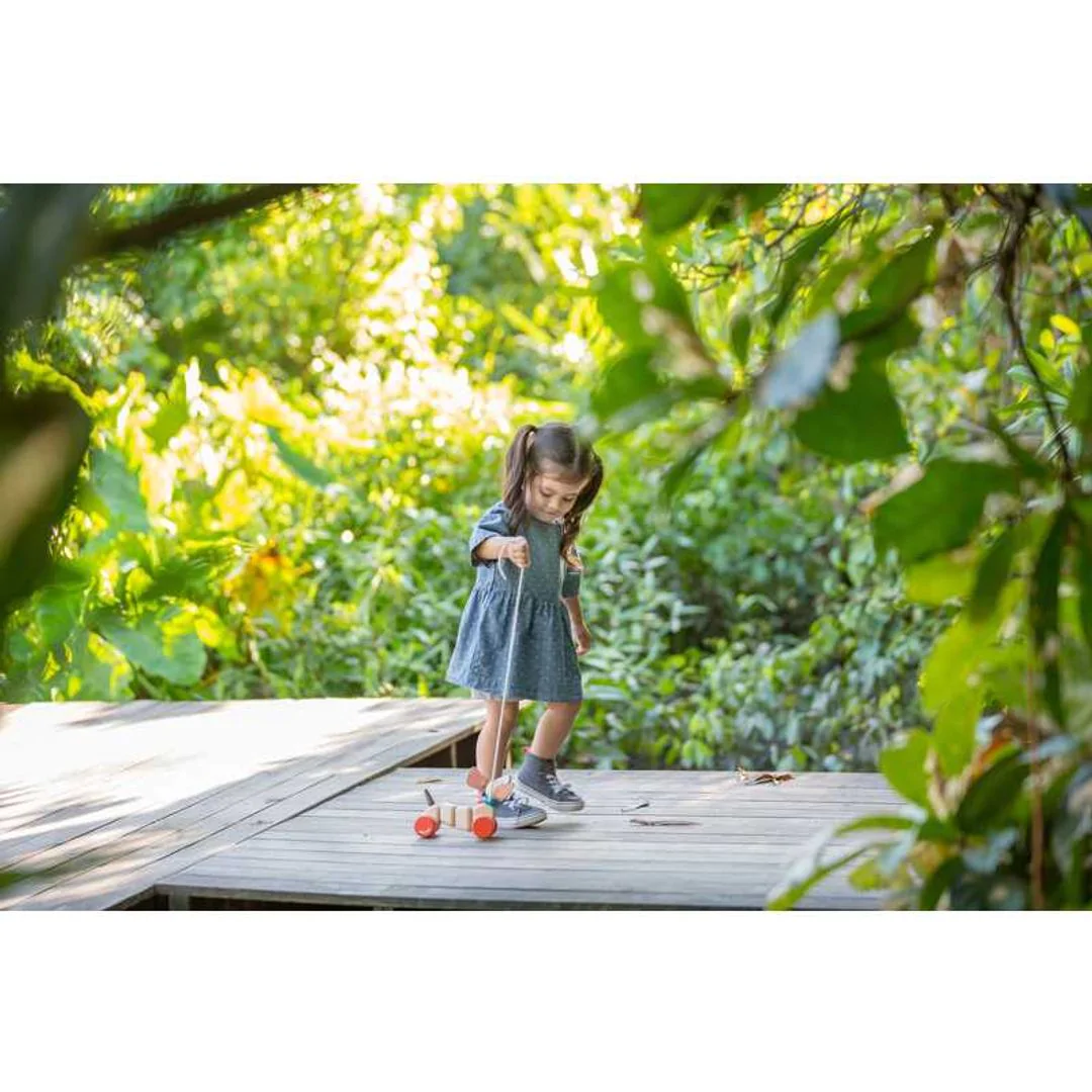 Plantoys - Happy Puppy