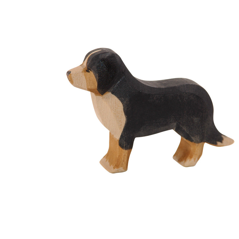 Ostheimer - Bernese Mountain Dog