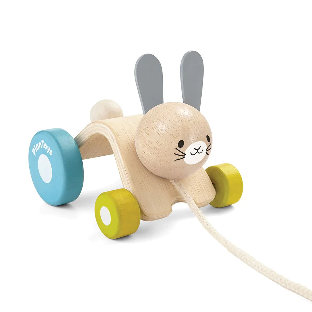 PLANTOYS - HOPPING RABBIT