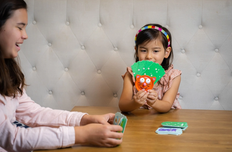 Card Holder