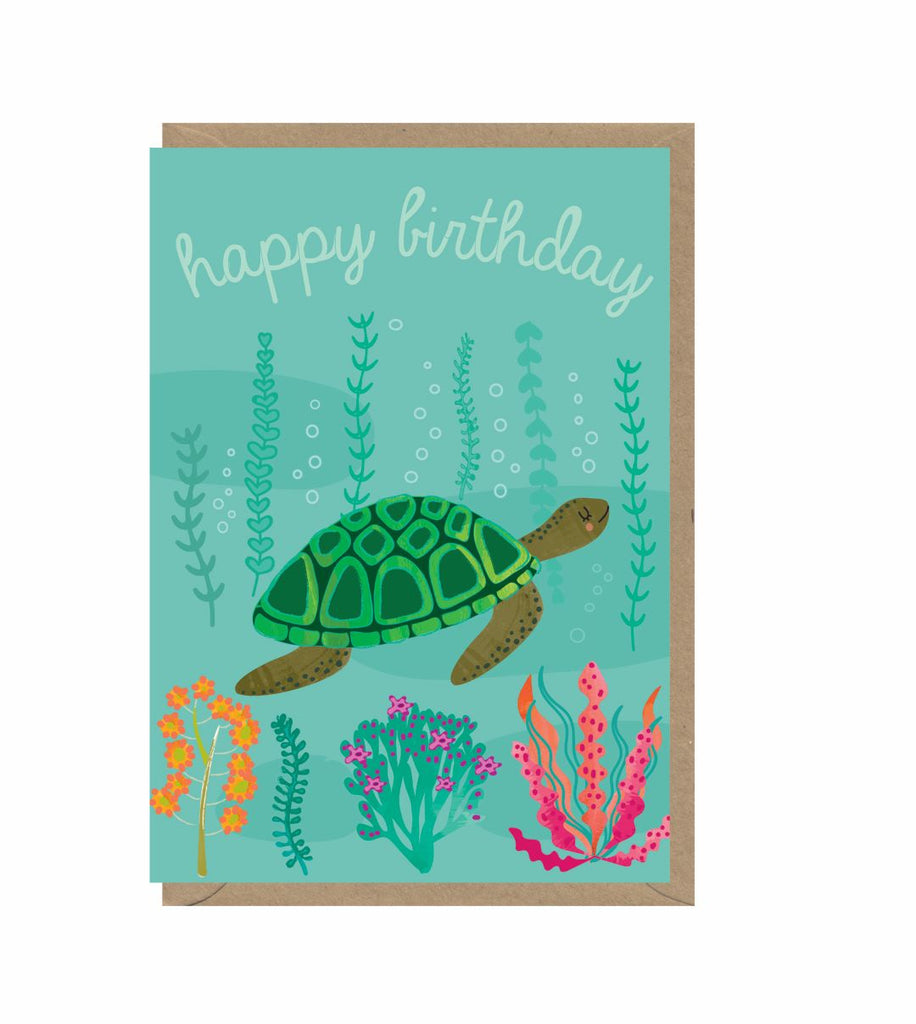 happy birthday turtle