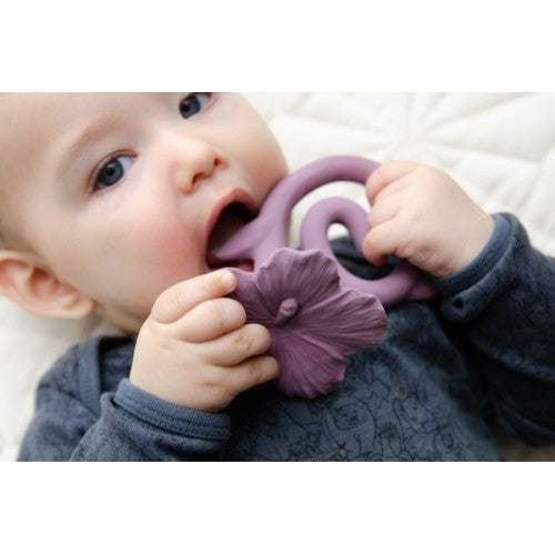 HIBISCUS TEETHER - PURPLE