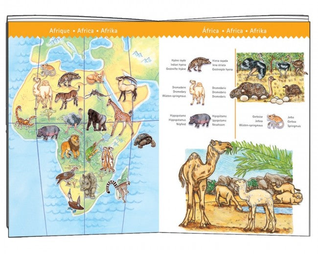 OBSERVATION PUZZLE - WORLD'S ANIMALS 100PC