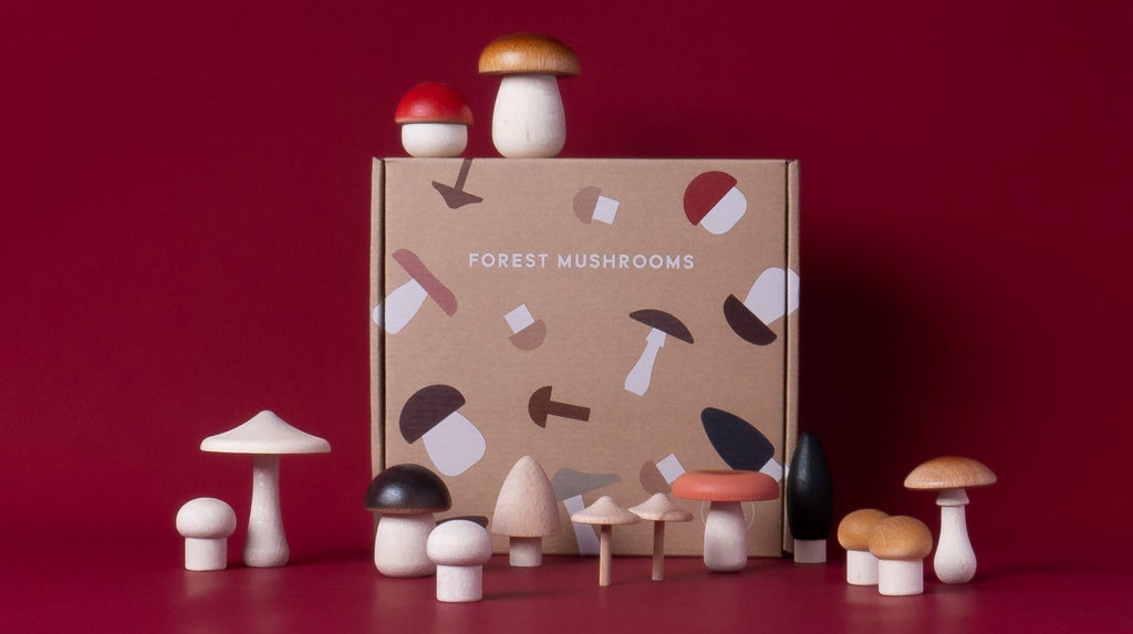 MOON PICNIC - FOREST MUSHROOMS IN A BOX