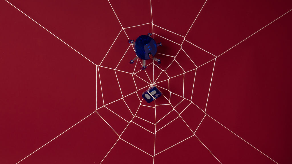 HEXBUG SPIDER