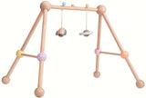 Pastel Play Gym
