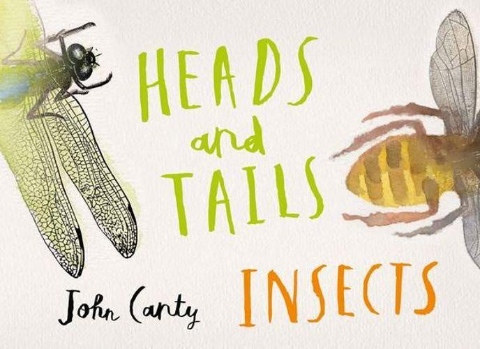 HEADS AND TAILS INSECTS - JOHN CANTY
