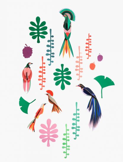 WALL OF CURIOSITIES - BIRD OBSERVER