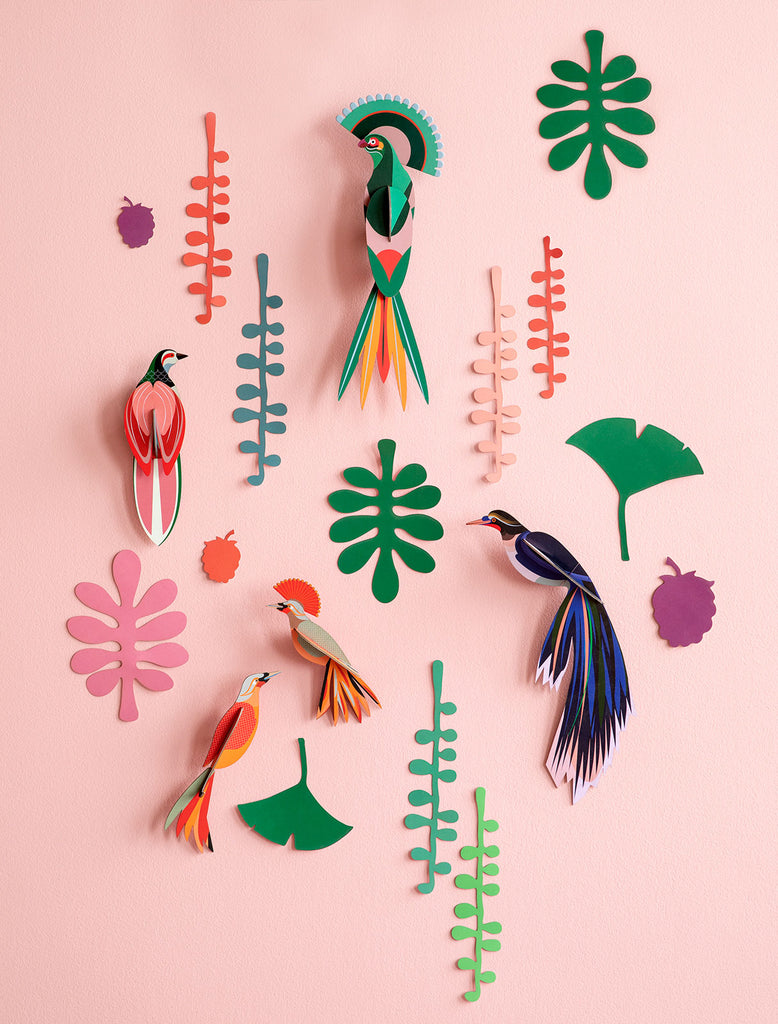 WALL OF CURIOSITIES - BIRD OBSERVER