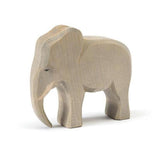 Ostheimer - Elephant Male