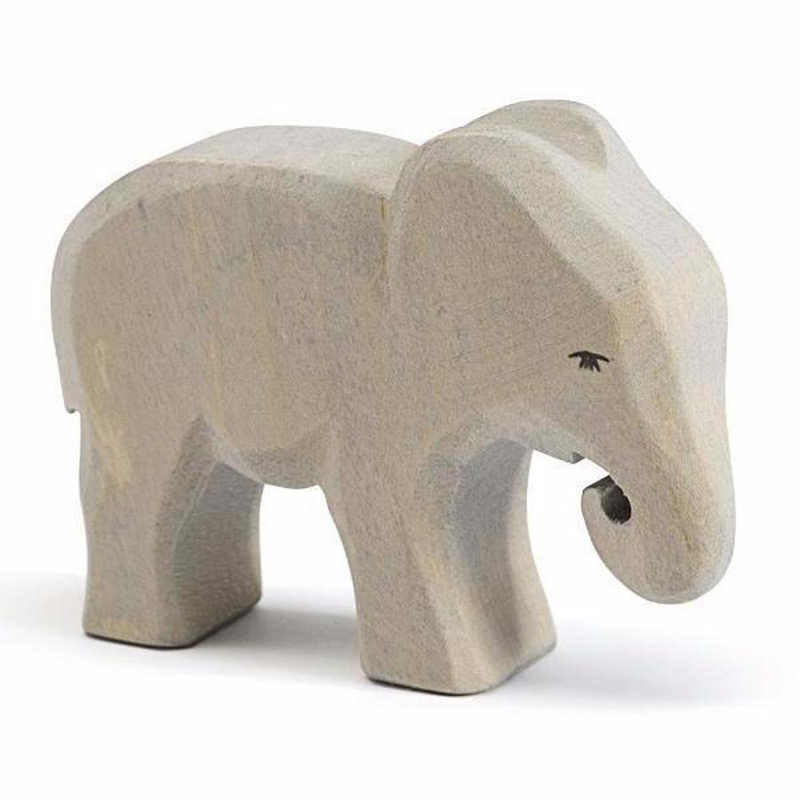 ostheimer elephant small eating 