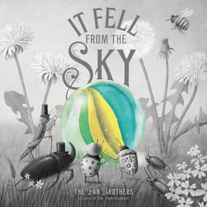 IT FELL FROM THE SKY - ERIC FAN