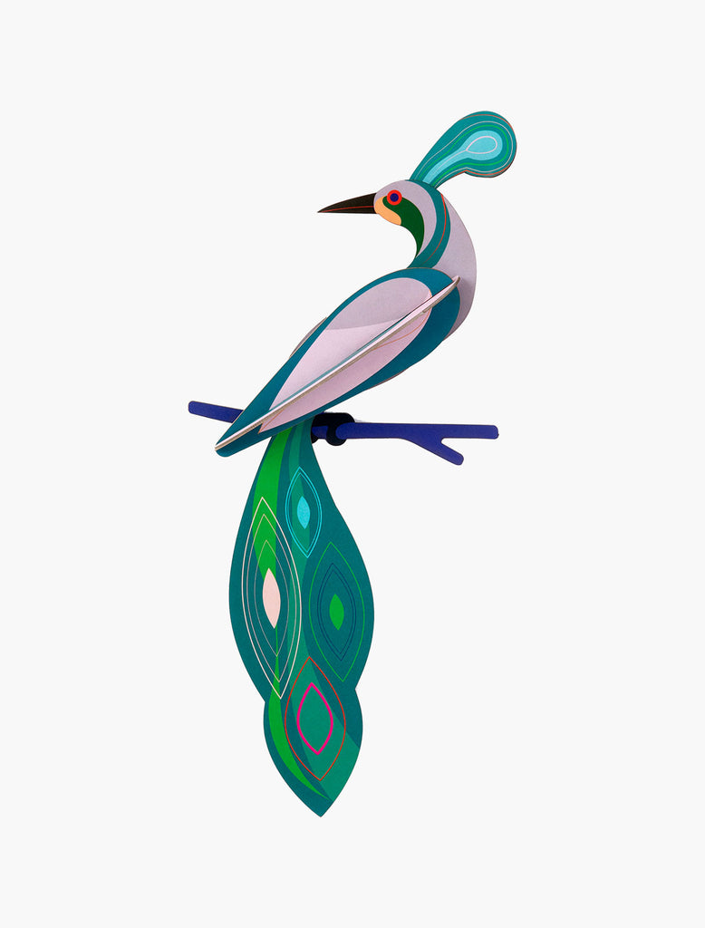 PARADISE BIRD WALL DECORATION - FIJI