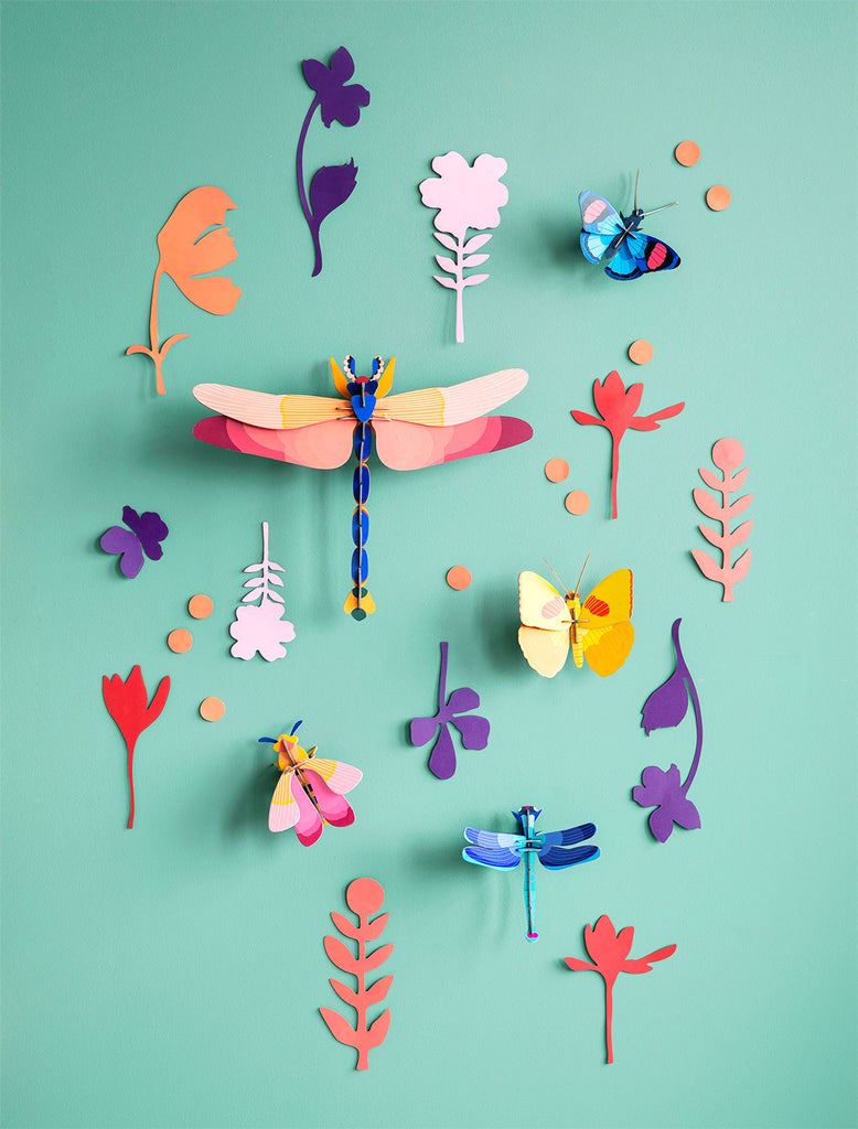 WALL OF CURIOSITIES - INSECT CONNOISSEUR